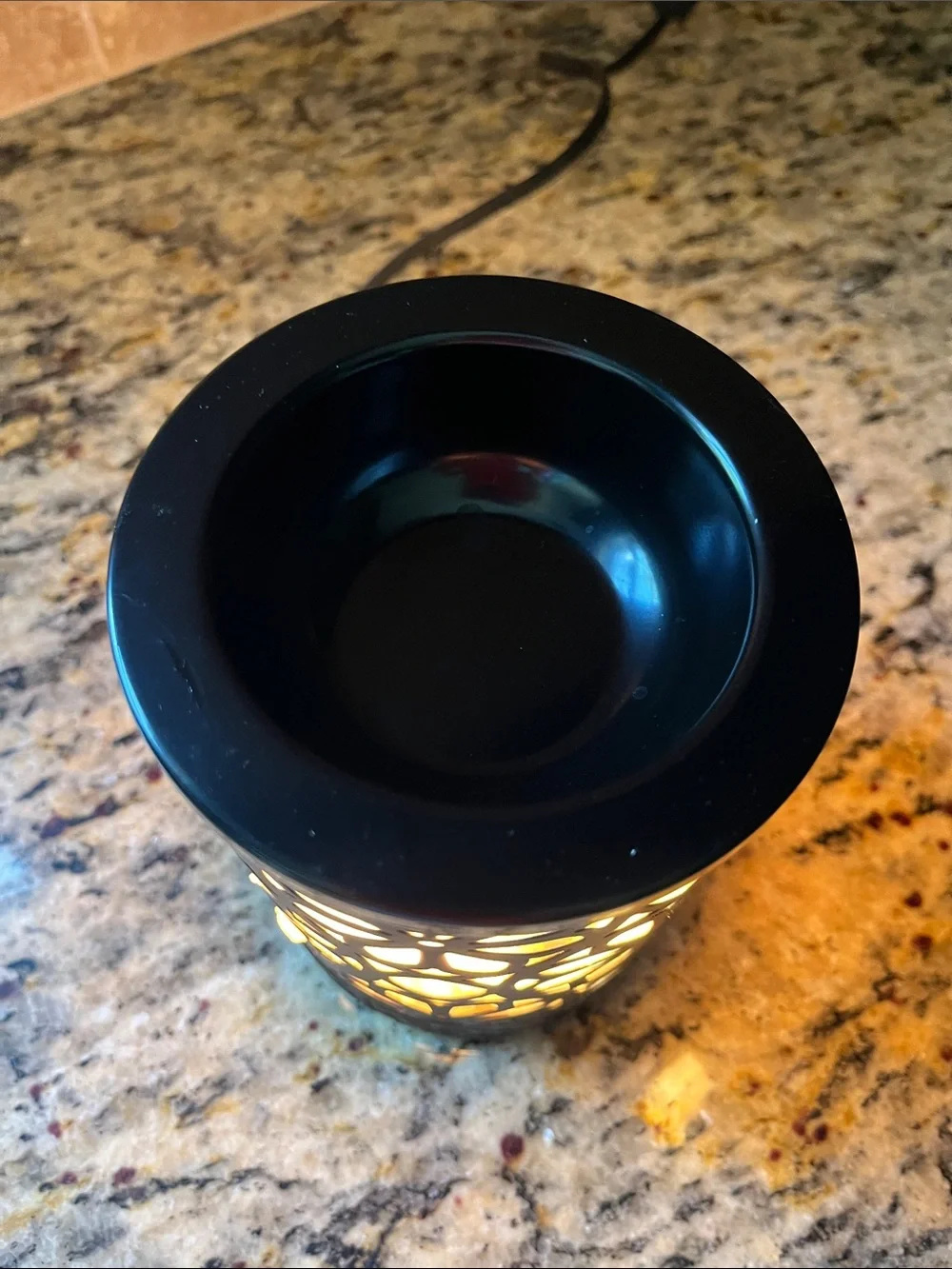 Himalayan Salt Lamp Electric Fragrance Warmer in Black Floral Cutout